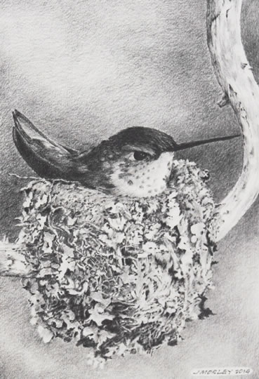 "Home Sweet Home" Graphite Drawing by Jack Morley of Rowe Gallery